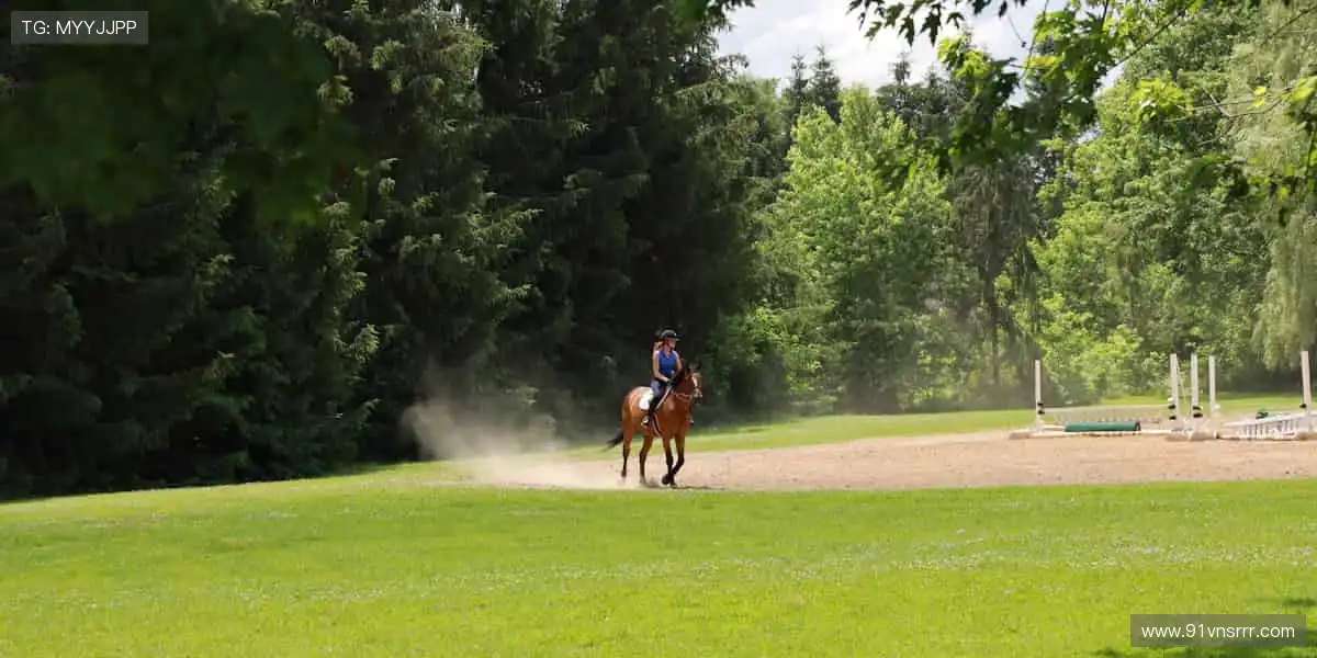 装备控的终极殿堂，潮流与品质兼备！
